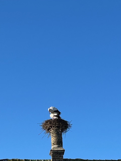 Damme — inspiratie van Ann Segers