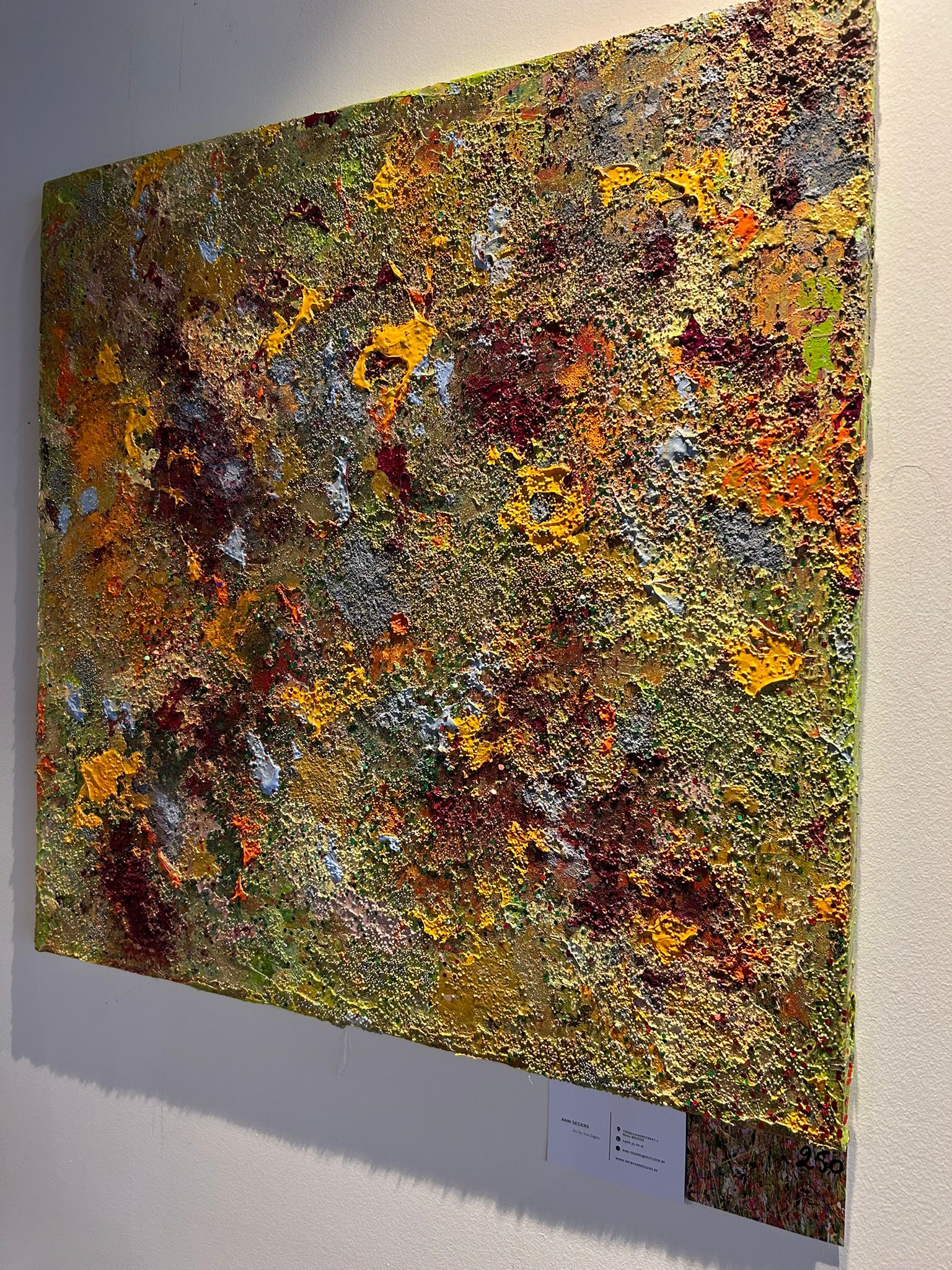 Ode aan de schoonheid van Damme